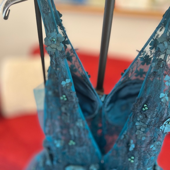 Your next Prom or special occasion dress! - Picture 8 of 11